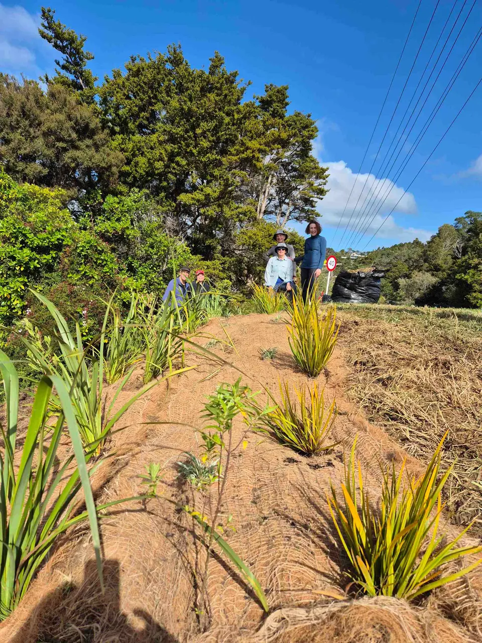 A group of volunteers at the end of a planting day